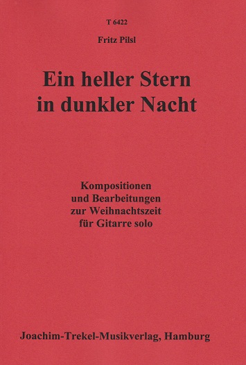 Logo:Ein heller Stern in dunkler Nacht